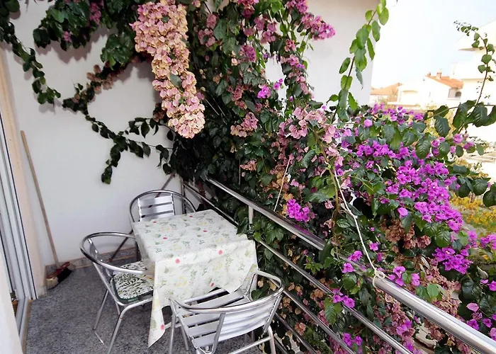 Lägenhet - Diklo 5880c Zadar