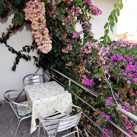 Apartment - Diklo 5880c Zadar