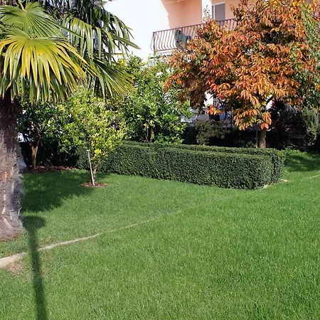 - Diklo 5880c Apartment